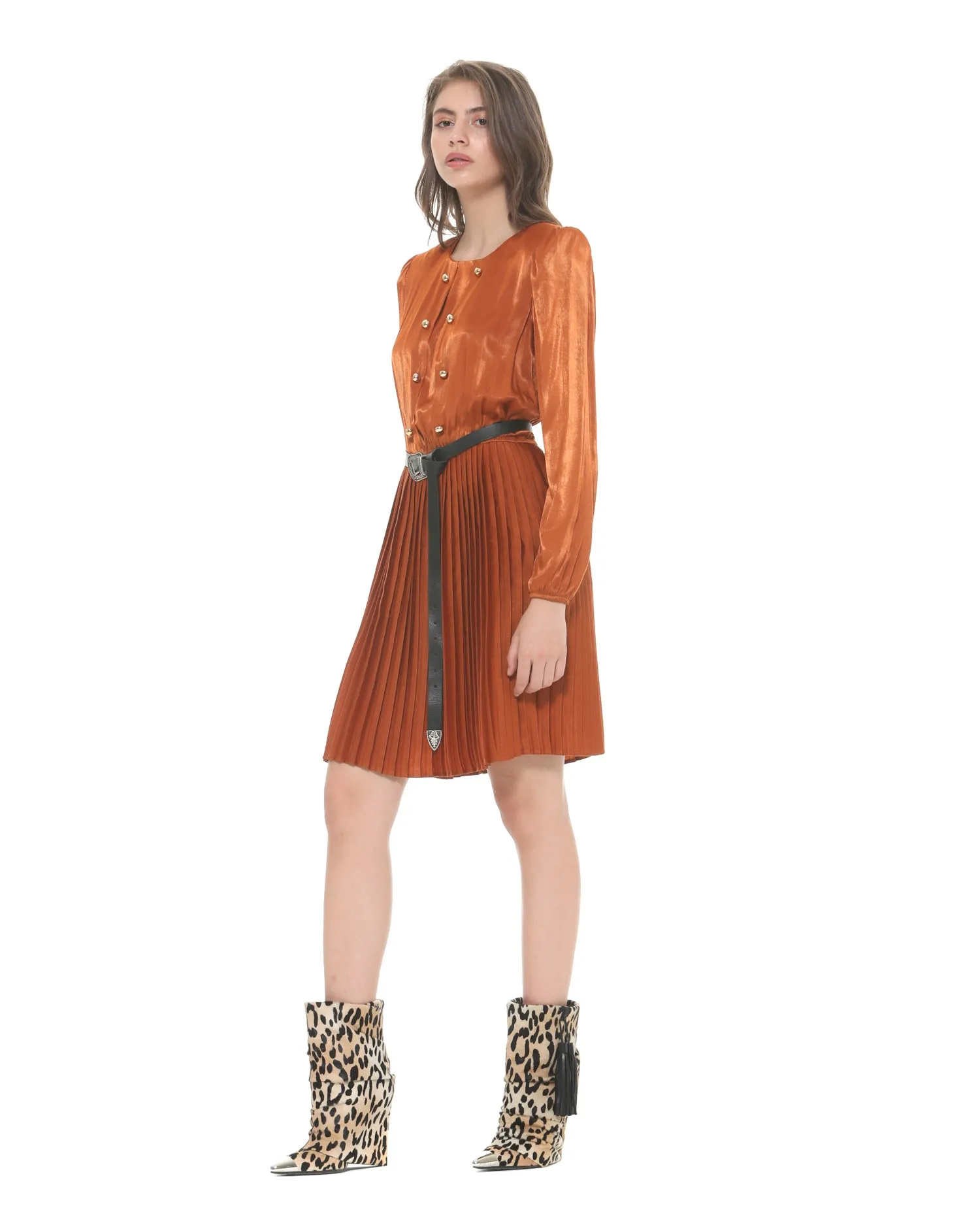 Dress With Pleated Skirt