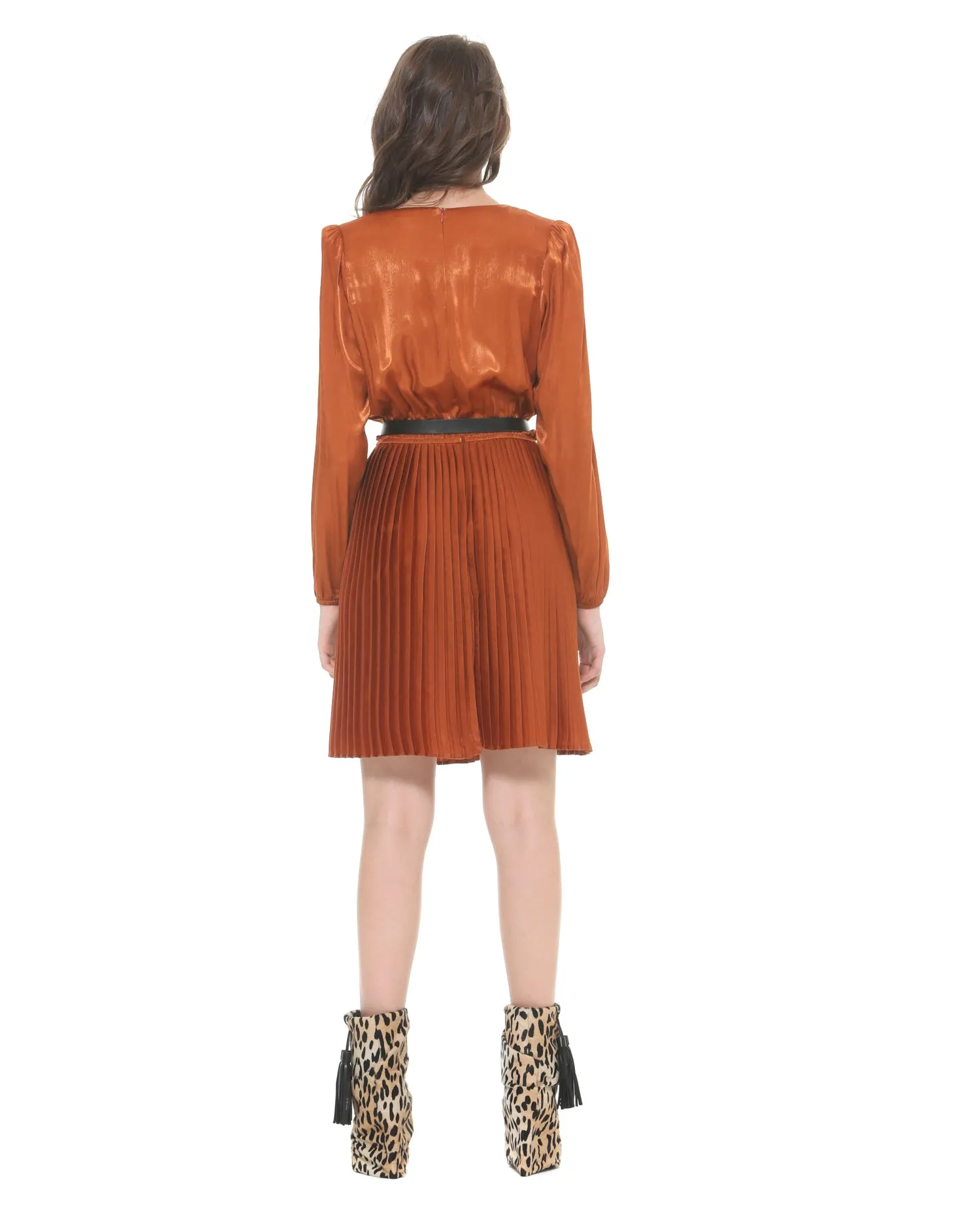 Dress With Pleated Skirt